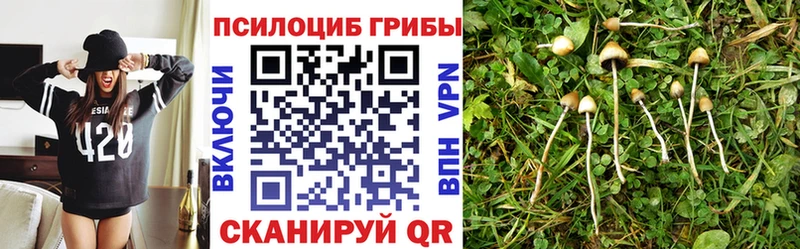Галлюциногенные грибы GOLDEN TEACHER  Купить  Починок 